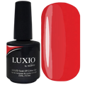 Luxio - Tango