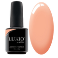Luxio - Pixie