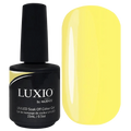 Luxio - Playful