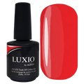 Luxio - Distraction