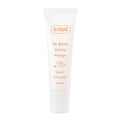 Sunny Mango Lip Gloss